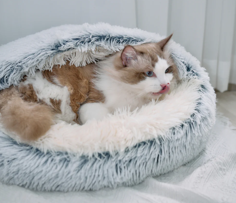 Nest bed for Cats & Small Dogs